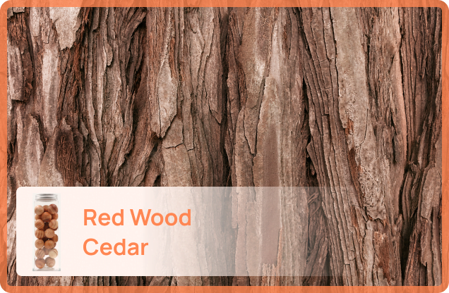Red Wood Ceder - Moth Balls NZ
